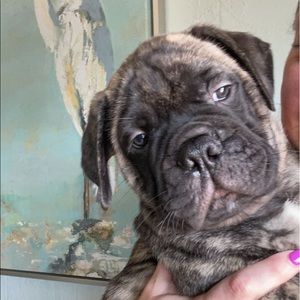 Meet your Posher, Courtney